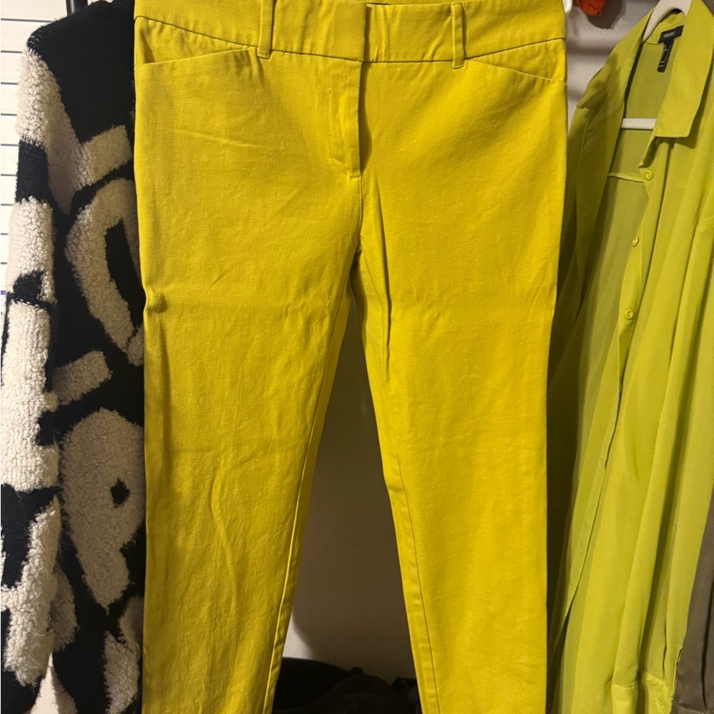 New York & Company Yellow Trousers